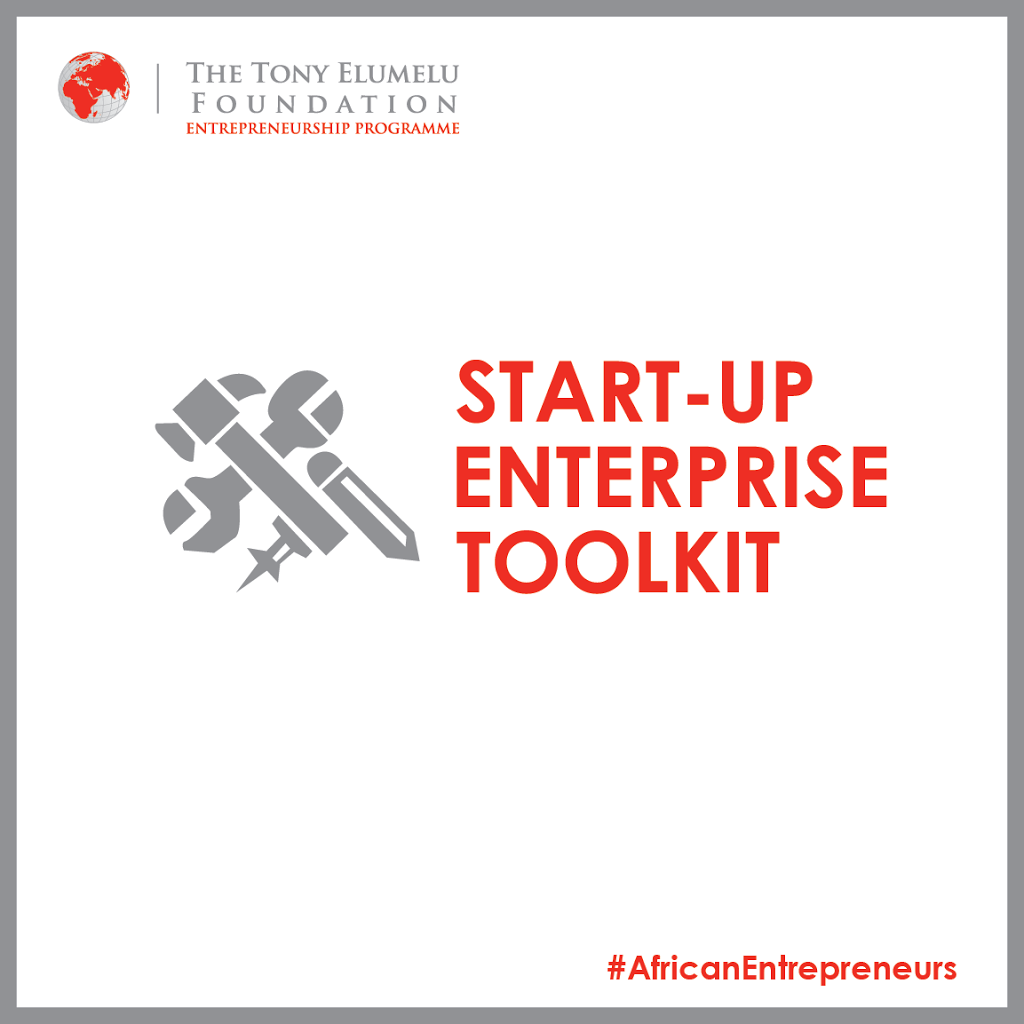 7 PILLARS OF THE TONY ELUMELU FOUNDATION ENTREPRENEURSHIP PROGRAMME