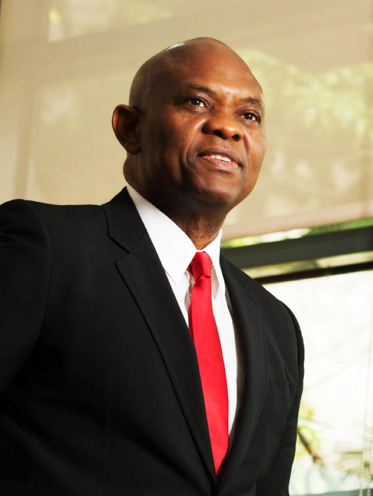 Tony Elumelu pronunciou um discurso sobre luminária na TICAD no Japão