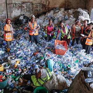 African Entrepreneurs Growing Eco friendly Businesses