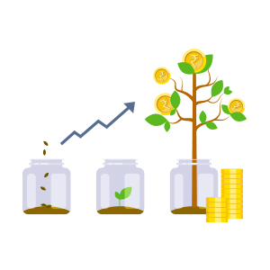 Investment 300