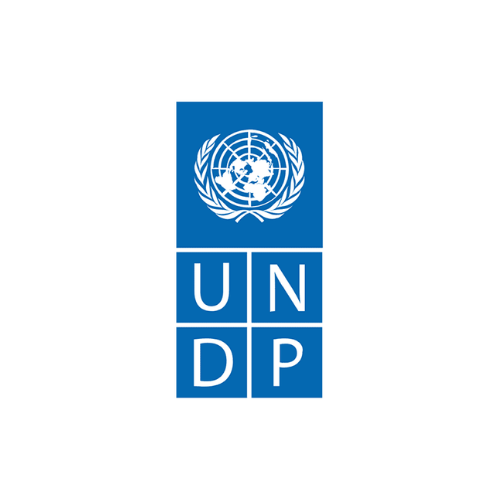 UNDP logo