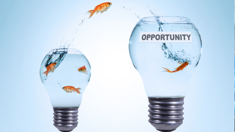 Right Opportunities