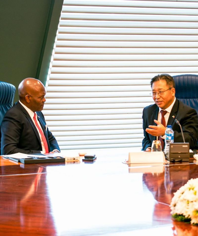 Tony Elumelu meets with global Ambassadors