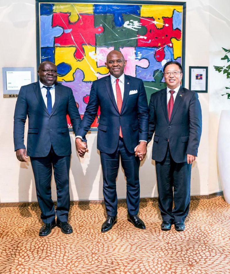 Tony Elumelu meets with global Ambassadors