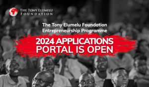 Apply for TEF2024
