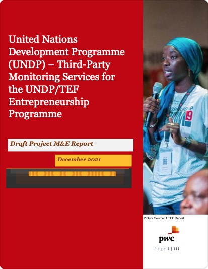 undp1