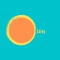 Logo de Soley