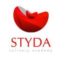 Styda logo