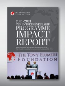 TEF Impact Report 2015-2024